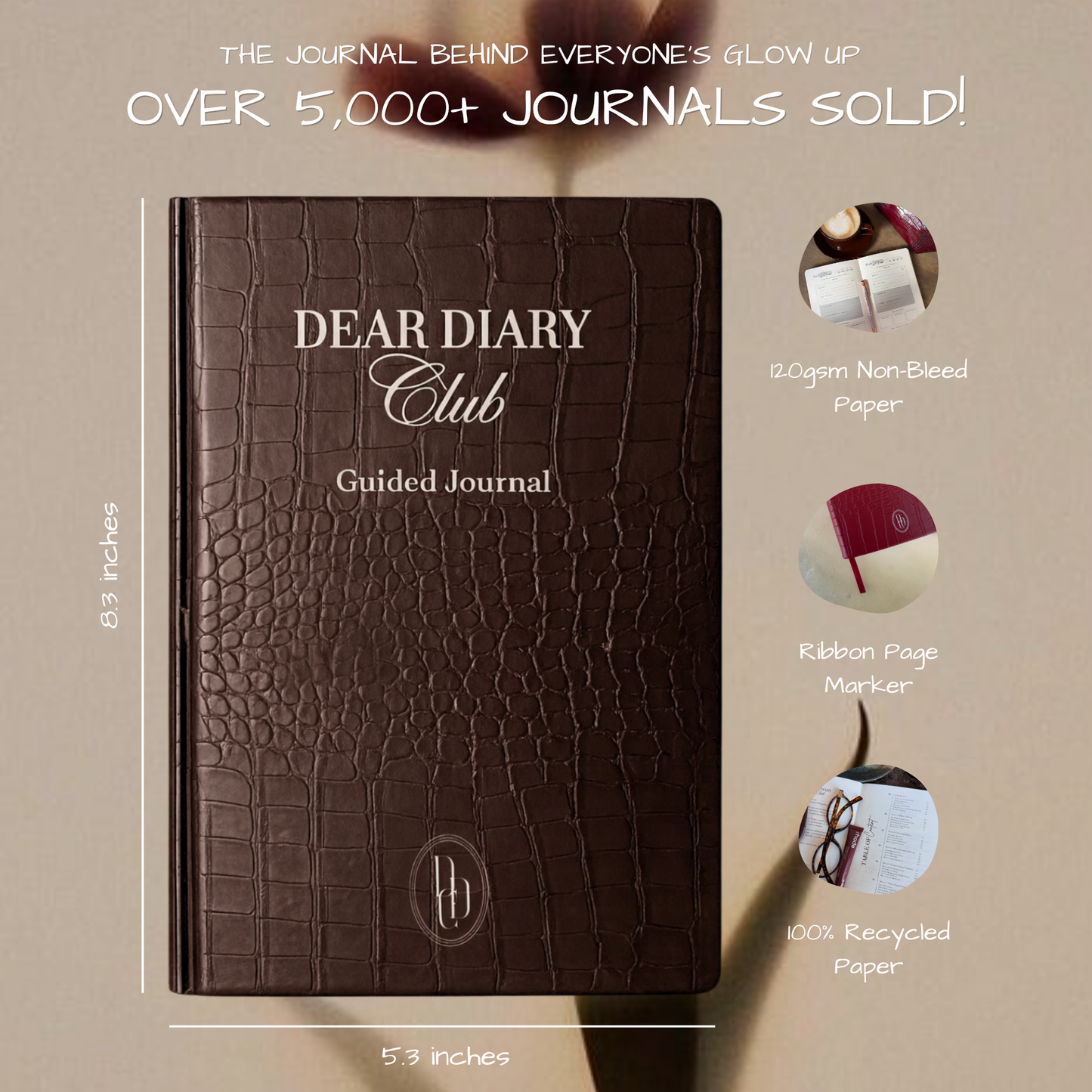 'Midnight Chocolate' Guided Journal